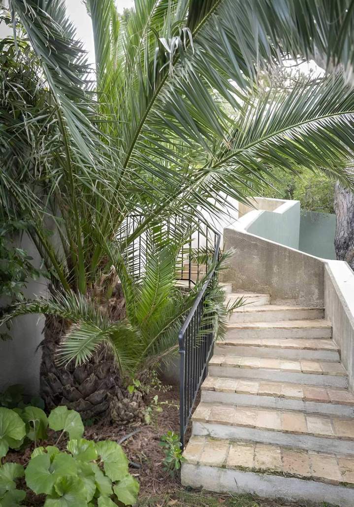 Entretien espace vert Nice