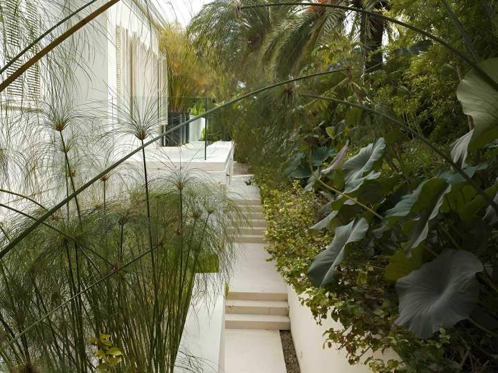 Entretien de jardins Nice