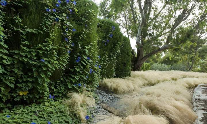 Entretien jardins Nice