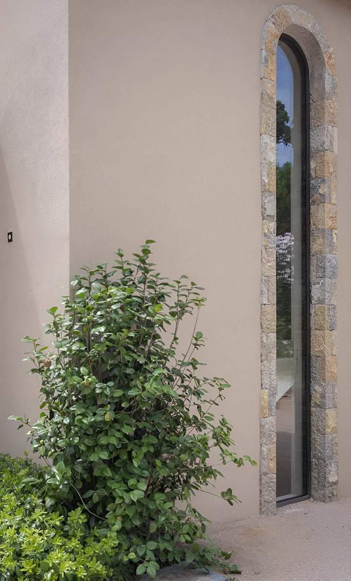 Soin des plantes Nice